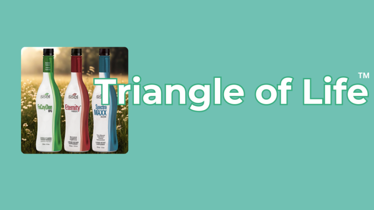 Triangle of Life™ – Die Basis für dein Immunsystem